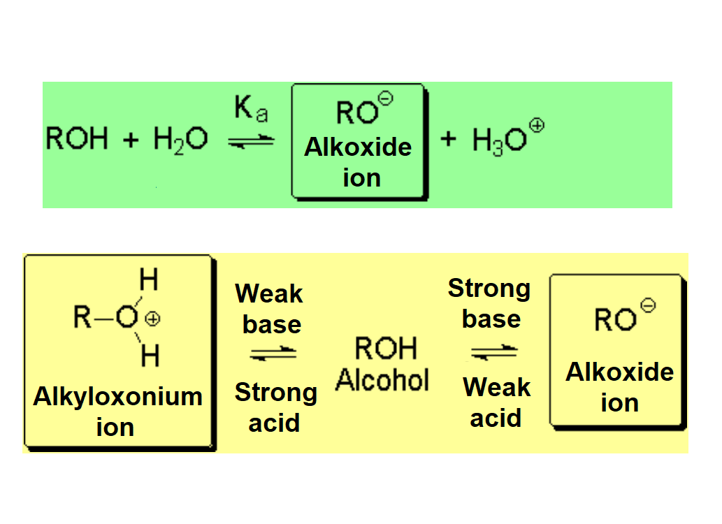 Acid-Base Properties of alcohols