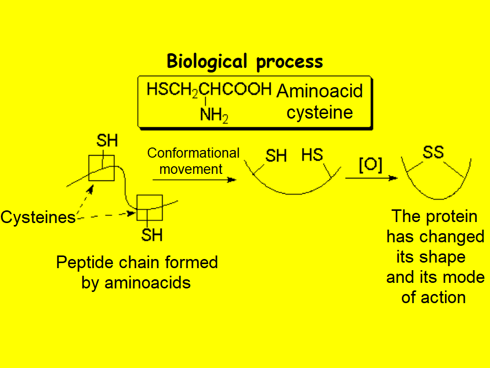 Reactivity of sulfur compounds